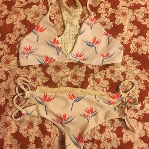 Acacia bird of paradise set